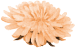 Иконка